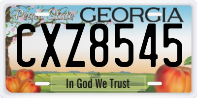GA license plate CXZ8545