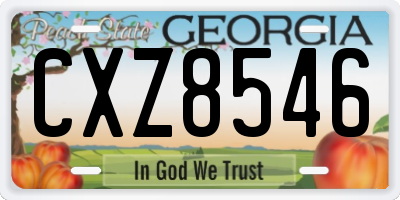 GA license plate CXZ8546