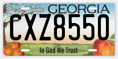 GA license plate CXZ8550