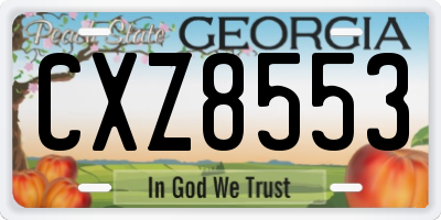 GA license plate CXZ8553