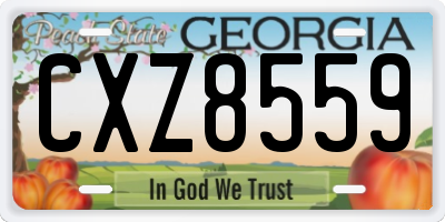 GA license plate CXZ8559