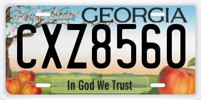 GA license plate CXZ8560