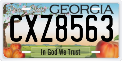 GA license plate CXZ8563