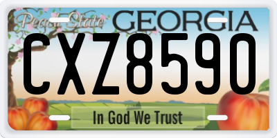 GA license plate CXZ8590