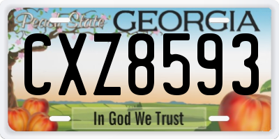 GA license plate CXZ8593