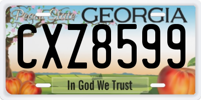 GA license plate CXZ8599