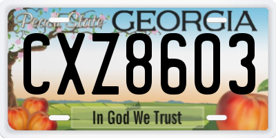 GA license plate CXZ8603