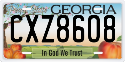 GA license plate CXZ8608