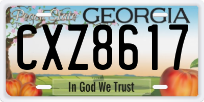 GA license plate CXZ8617
