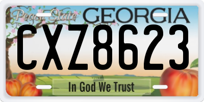 GA license plate CXZ8623