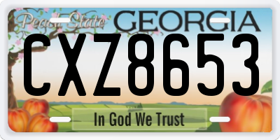 GA license plate CXZ8653
