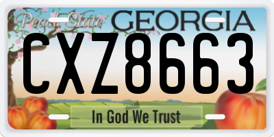 GA license plate CXZ8663