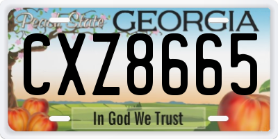 GA license plate CXZ8665