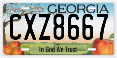 GA license plate CXZ8667