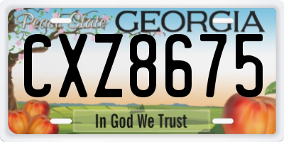 GA license plate CXZ8675