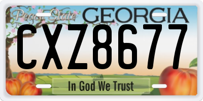GA license plate CXZ8677
