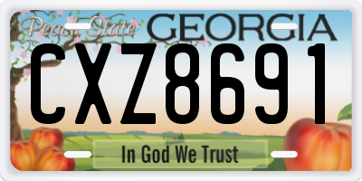 GA license plate CXZ8691
