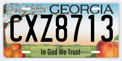 GA license plate CXZ8713