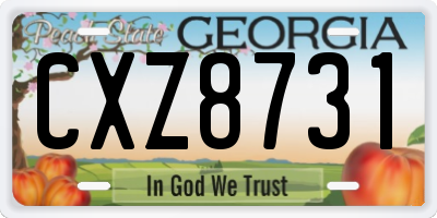 GA license plate CXZ8731