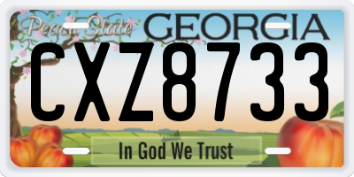 GA license plate CXZ8733