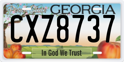 GA license plate CXZ8737