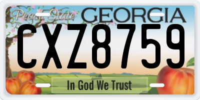 GA license plate CXZ8759