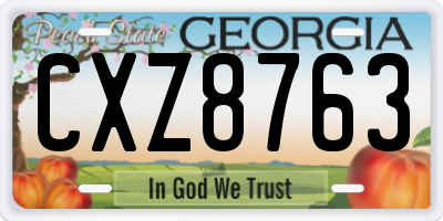 GA license plate CXZ8763