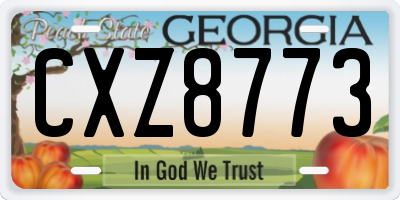 GA license plate CXZ8773