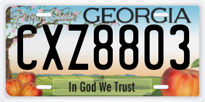 GA license plate CXZ8803