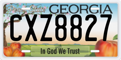GA license plate CXZ8827