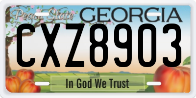GA license plate CXZ8903