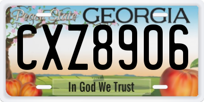 GA license plate CXZ8906