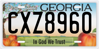 GA license plate CXZ8960