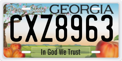 GA license plate CXZ8963