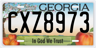 GA license plate CXZ8973