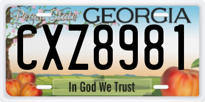 GA license plate CXZ8981
