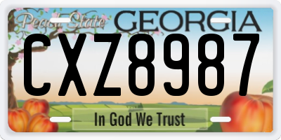 GA license plate CXZ8987