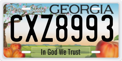 GA license plate CXZ8993