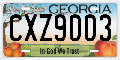 GA license plate CXZ9003