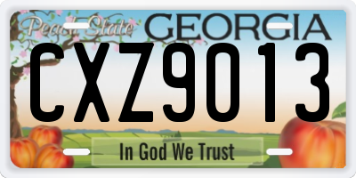 GA license plate CXZ9013