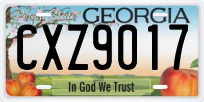 GA license plate CXZ9017