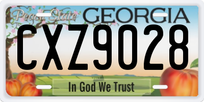 GA license plate CXZ9028