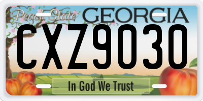 GA license plate CXZ9030
