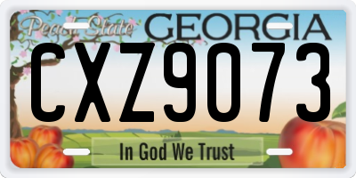 GA license plate CXZ9073