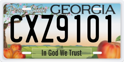 GA license plate CXZ9101