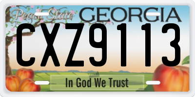 GA license plate CXZ9113