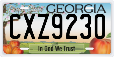 GA license plate CXZ9230