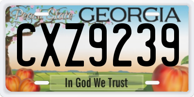 GA license plate CXZ9239