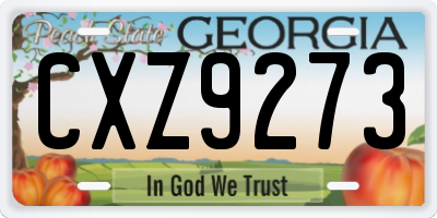 GA license plate CXZ9273