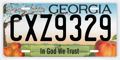 GA license plate CXZ9329